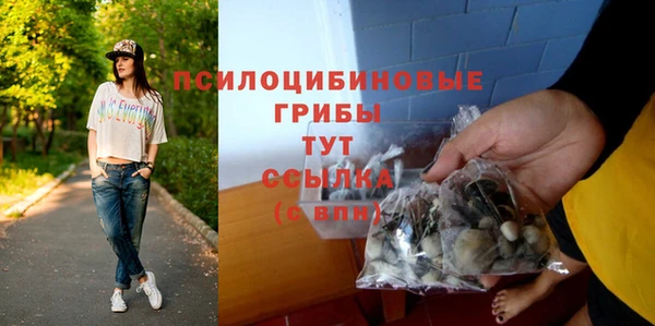 а пвп мука Баксан
