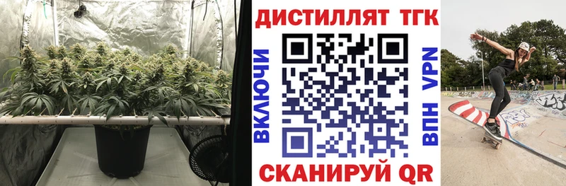 площадка Telegram  Мичуринск  ТГК THC oil 